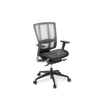 Cloud Ergo Mesh (mesh seat with arms)